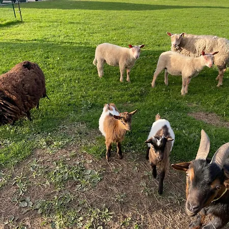 De Campagne Yvetot-Bocage