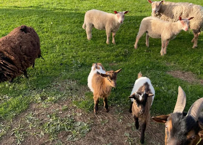 De Campagne Yvetot-Bocage